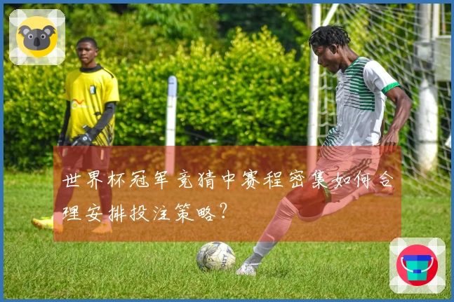 世界杯冠军竞猜中赛程密集如何合理安排投注策略？