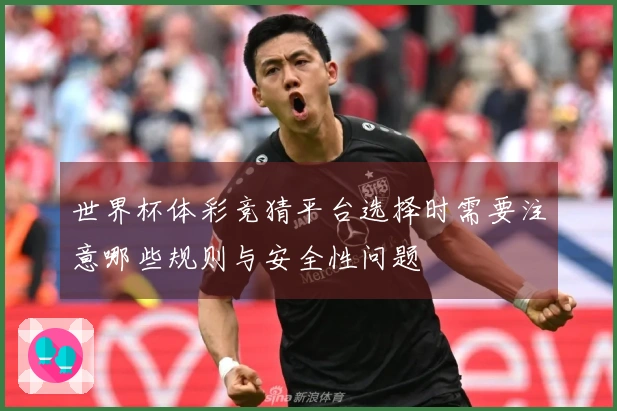 世界杯体彩竞猜平台选择时需要注意哪些规则与安全性问题
