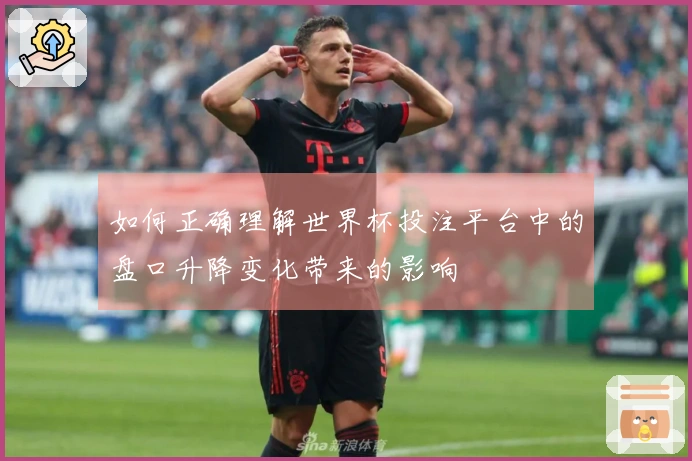 如何正确理解世界杯投注平台中的盘口升降变化带来的影响