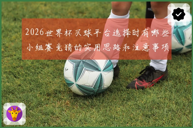 2026世界杯买球平台选择时有哪些小组赛竞猜的实用思路和注意事项