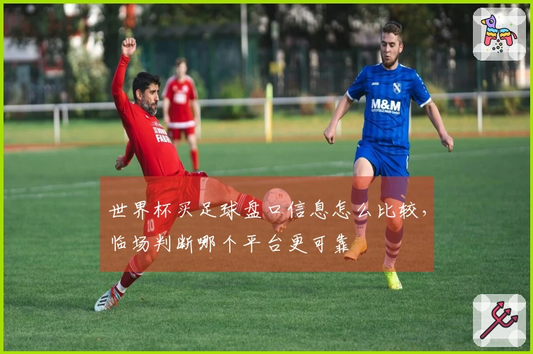 世界杯买足球盘口信息怎么比较，临场判断哪个平台更可靠
