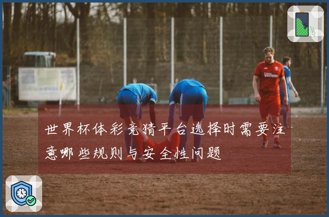 世界杯体彩竞猜平台选择时需要注意哪些规则与安全性问题