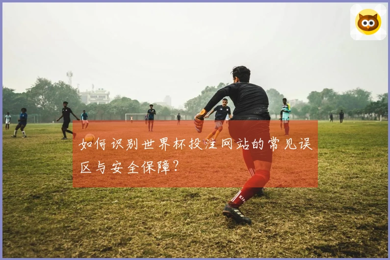 如何识别世界杯投注网站的常见误区与安全保障？
