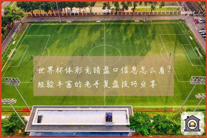 世界杯体彩竞猜盘口信息怎么看？经验丰富的老手复盘技巧分享